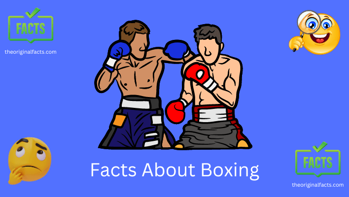 fun facts about boxing