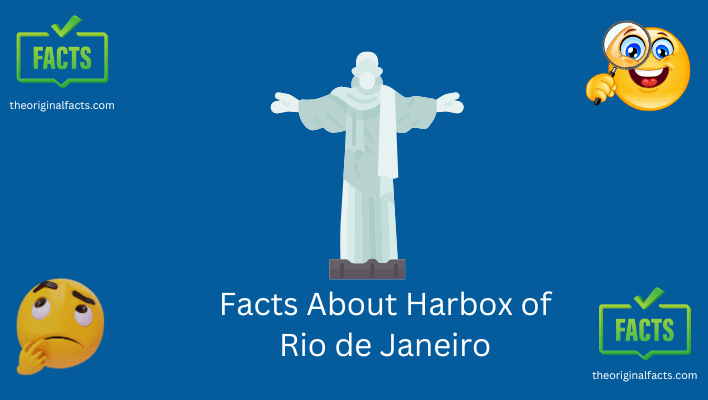 Facts About Harbox of Rio de Janeiro