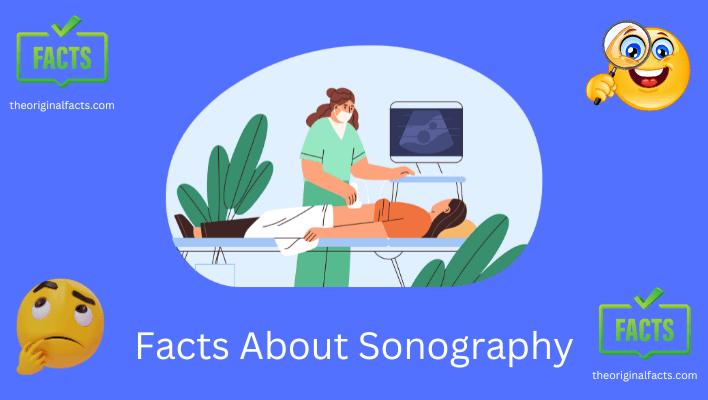 fun facts about sonography