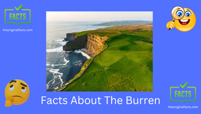 10 facts about the burren