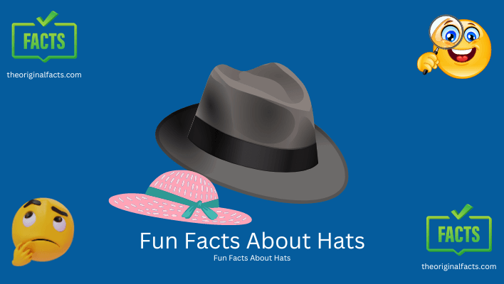Fun Facts About Hats