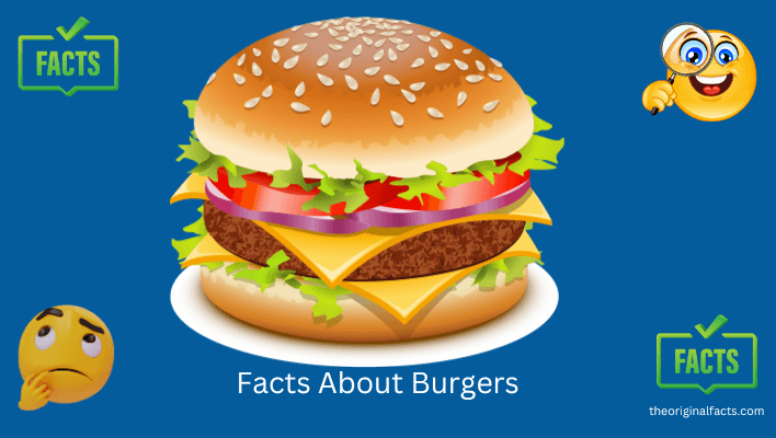 Facts About Burgers