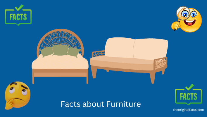 Facts about Furniture