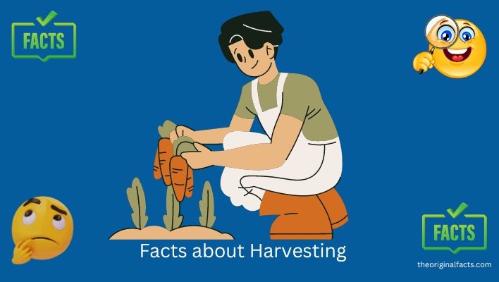 Facts about Harvesting