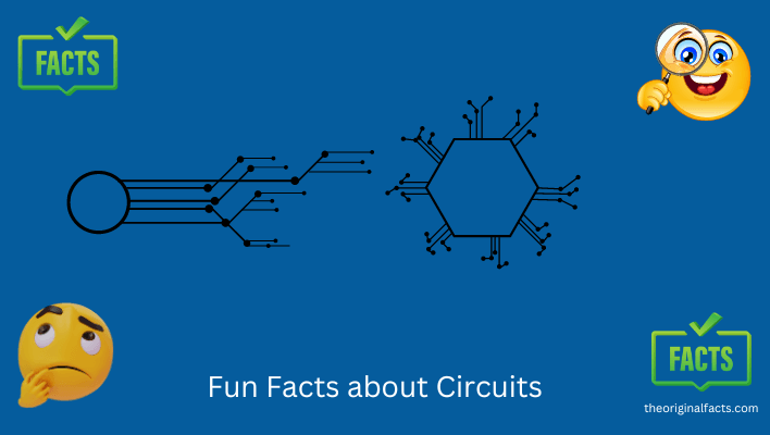 Fun Facts about Circuits
