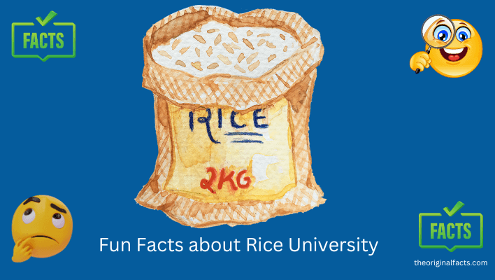 Fun Facts about Rice University