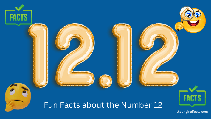 Fun Facts about the Number 12