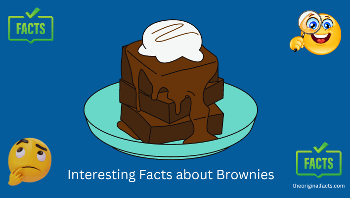 Interesting Facts about Brownies