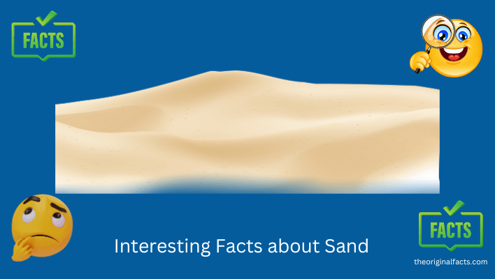 Interesting Facts about Sand