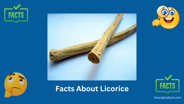 fun facts about licorice