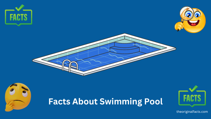 fun facts about swimming pools